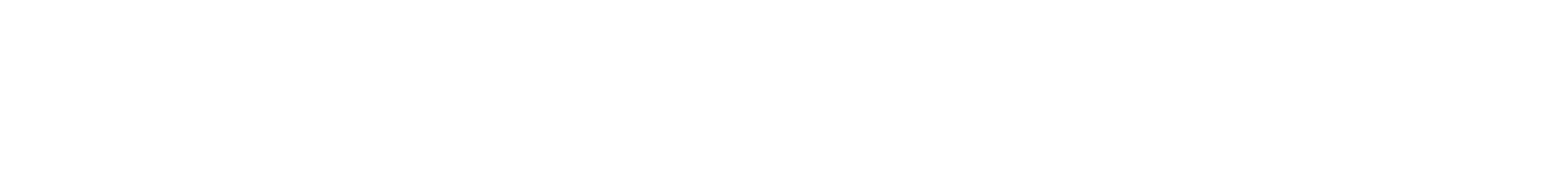 INVISIBLE Logo